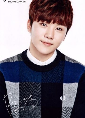 profile-Seungkwan-1