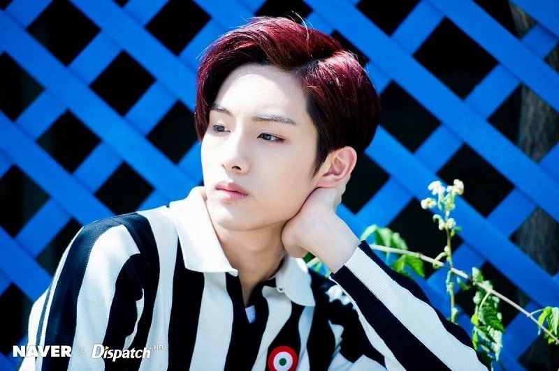 profile-WinWin