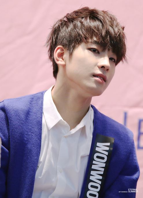 profile-WonWoo-1