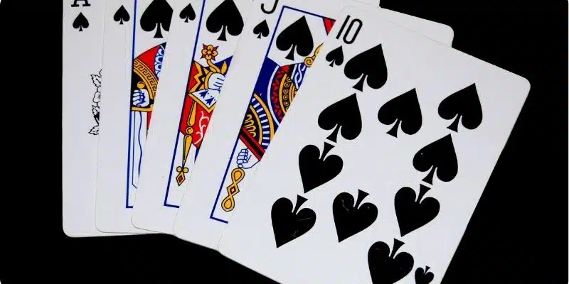 5 đôi thông có chặt được 3 heo không