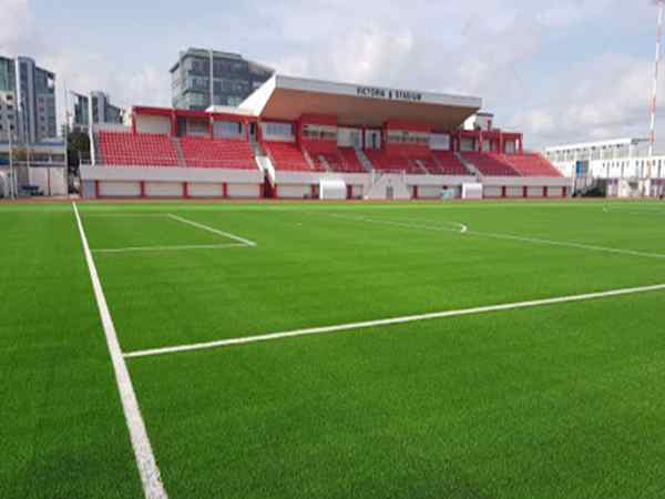 Đường pitch là gì?