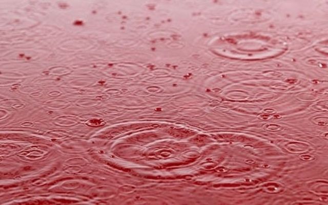 Hiện tượng mưa máu là gì? Cơn mưa kỳ lạ và đáng sợ