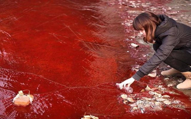 Hiện tượng mưa máu là gì? Cơn mưa kỳ lạ và đáng sợ